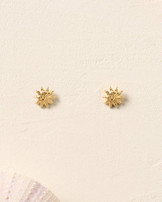 Solé Stud Earrings | Jewelry Gold Gift Waterproof